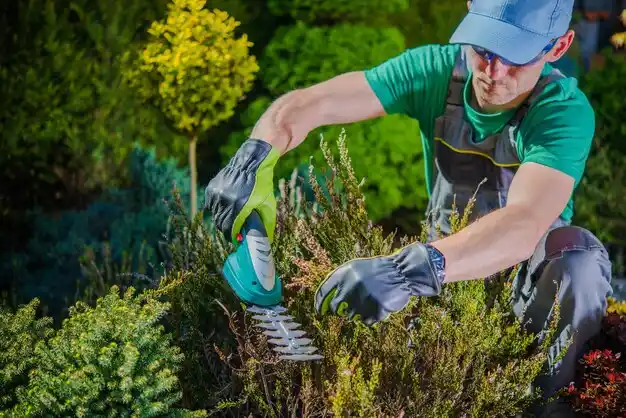 landscaping services Hazelwood